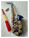 Todos los niveles son bienvenidos.No tiene que ser un profesional para jugar este saxofón adecuado para adultos.También se puede utilizar como instrumento para principiantes para principiantes y jugadores avanzados.