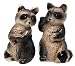 Salt & Pepper Shaker Set Raccoon