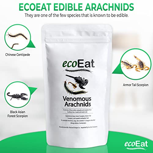 ecoEat Edible Arachnids (3 Insects) - Chinese Centipede, Black Asian Forest Scorpion and Armor Tail Scorpion - Edible Insects - Image 3