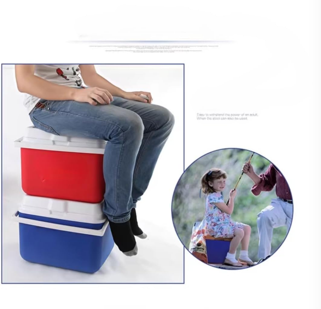 レクサス LS 400 430 460 500 2000-2025用車用クーラーボックス、自動車用断熱ポータブルクーラー、車用キャン