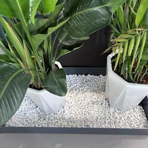 Image of 2LB White Succulent and Cactus Gravel Pebbles - 1 /5 Inch Natural Stones for Plants, Vases, Aquariums, Terrariums, and Outdoor Gardening