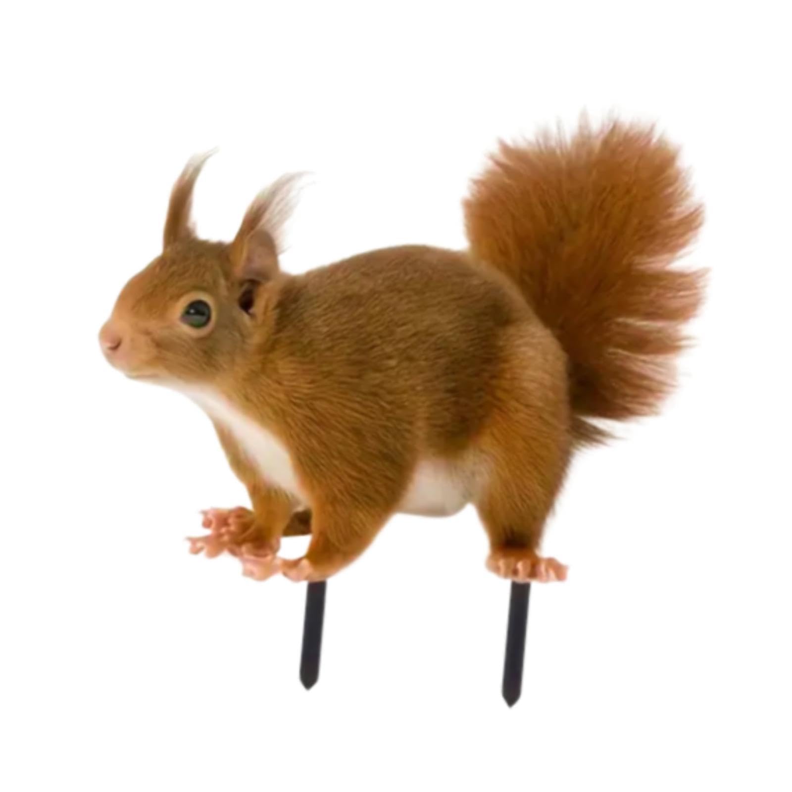 THE STYLE SUTRA 2D Flat Squirrel Decorative Garden Stake Creative Courtyard Flower Pot Decor-image-36