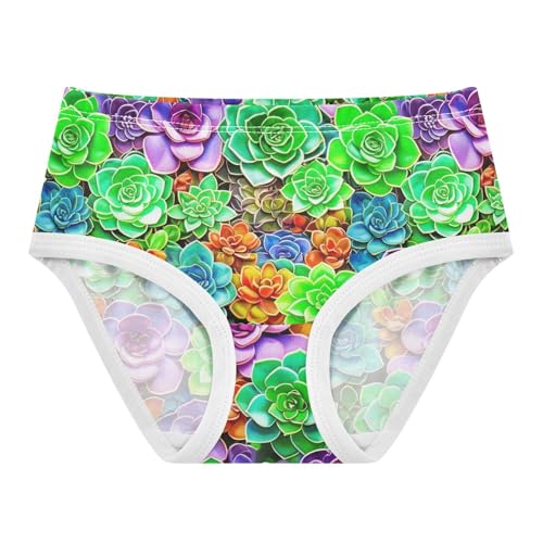 Joisal Colorful Succulent Plants Panties Little Girl Girls Underwear Toddler Cotton Animals Kids Undies Briefs 2t