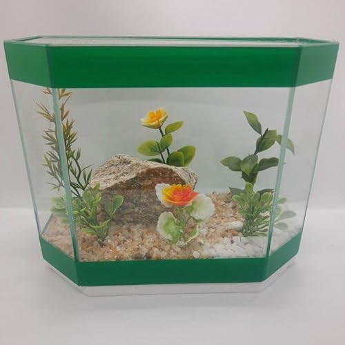 Aquário Hobby,Decorado 20x10x15 2,5lts Pedras naturais,Peixe Betta (Verde)