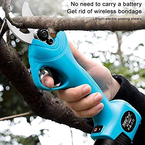 16.8V Cordless Electric Pruning Shears Secateurs with 2 Rechargeable Lithium Battery Powered Tree Branch Pruner, Cut 30mm max