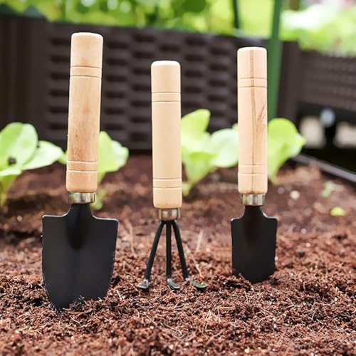 Image of Amazon Brand - 3 Pcs Gardening Tool Set, Hand Tool Kit for Home Gardening, Small Sized Hand Cultivator, Small Trowel & Garden Fork, Perfectly Sized for Kids, Ideal for Home Gardening, Flower Pot, Lawn