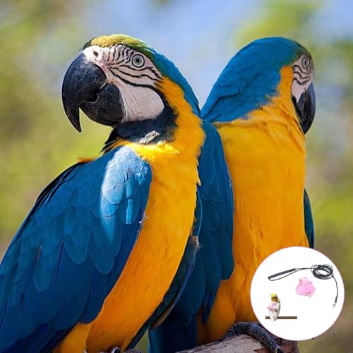 Image of Adult Parrot Bird Harness, for Parrots Adjustable & Lightweight Birds Harness with Quick Release Parrot Belt for Outdoor Training of Macaws, Budgies, Cockatiels (Vibrant Pink)