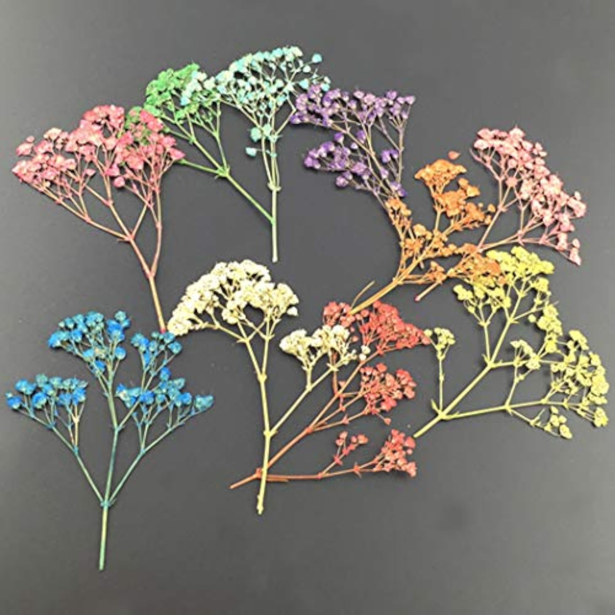 50PCS Multipurpose Dried Flower Craft Material Kit