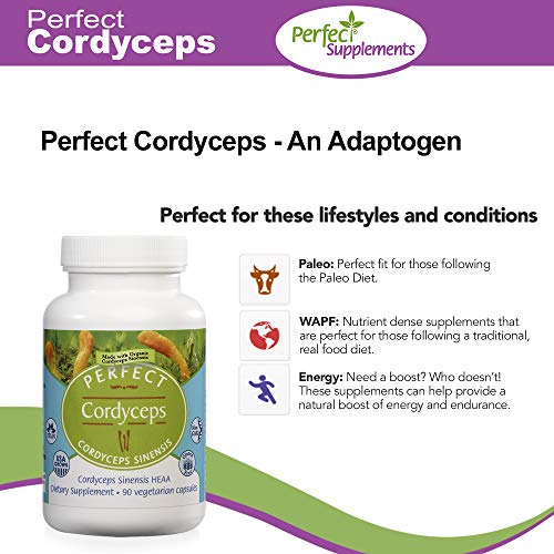 Perfect Organic Cordyceps Sinensis, Supports Energy, Stamina, Immunity, Mental Clarity ~ An Adaptogen ~ 90 Vegetable Capsules #TOP2