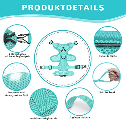 Pettorina regolabile per gatti a prova di rottura