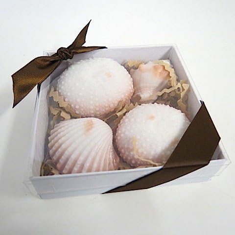 Seashell Soaps - Box of Shells