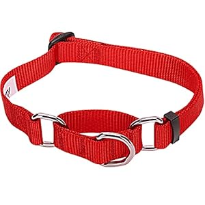 Blueberry Pet Essentials Martingale Safety Training Dog Collar, Rouge Red, Medium, Heavy Duty Nylon Adjustable Collars for Dogs