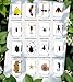 16 Real Bugs Specimens,Resin Insects Taxidermy Bugs Preserved Animals in Resin for Science Classroom Education,Oddity Biology Christmas Thanksgiving Gifts,Entomology Display,Butterfly Beetle Decor
