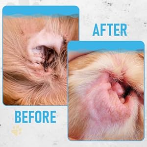 Dog ear wipes for dog | unscented dog ear cleaner for dogs | remove dirt wax itch odor | natural cleaning puppy ear wipes | soothing ear wipes for pets cat | organic ingredients | 125 xl pcs   cucciolini doodles