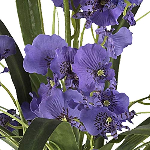 Nearly Natural 1119-PP 19In Artificial Dancing Lady Orchid Flower Arrangement In Glass Vase thumb #2