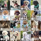 BELLA & PAL Hundegeschirr Kleine Hunde mit Leine, Step-in Geschirr aus Air Mesh, Anti Zug Reflektierend Atmungsaktiv Brustgeschirr, Welpengeschirr für Kleine Hunde, Katzengeschirr, Mokka, XS