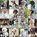 BELLA & PAL Hundegeschirr Kleine Hunde mit Leine, Step-in Geschirr aus Air Mesh, Anti Zug Reflektierend Atmungsaktiv Brustgeschirr, Welpengeschirr für Kleine Hunde, Katzengeschirr, Mokka, XS