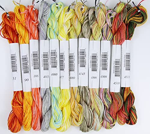 Image of KCS Big skeins of 25 Meters Size 25 Color Variegated Cross Stitch Stranded Threads,12 skeins,09