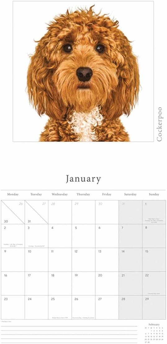 Wall Calendars 2023 by Portico Designs (Gruff Pawtraits Square Calendar