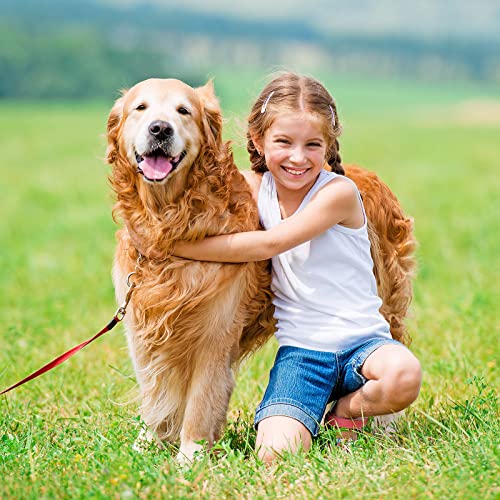 Poroka 5 Pack Girls Dance Tank Top Kids Tank Tops Sleeveless Tees Shirt Racerback Sleeveless Tops For Girls Toddlers #TOP6