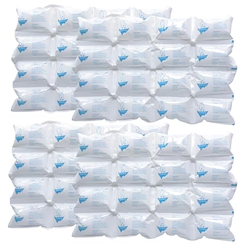 Auzpfrum Ice Packs for Shipping & Coolers - Dry Ice Sheets for Transporting Frozen Food - Long Lasting Cold Pack for Lunch Bags (4 Sheets x 16 Cells)