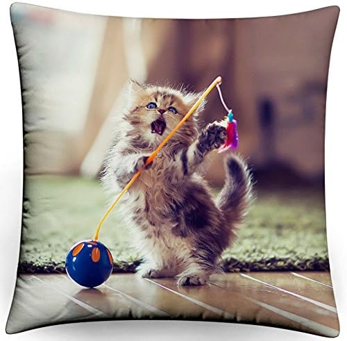 Cute pet series/Fashion photo pillow/Square cushion covers-F 35x35cm(14x14inch)