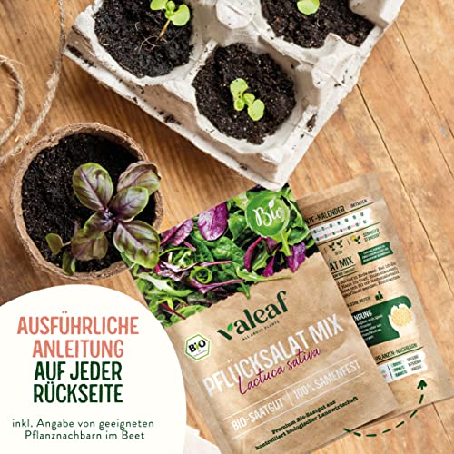 Spray Traitement Au Venin D'Abeille