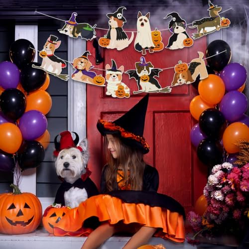 Image of Halloween Dog Banner Party Decorations for Pet Halloween Birthday Party
