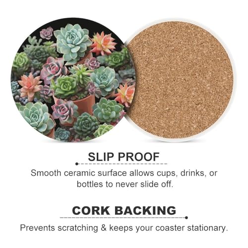 Dessous de verre absorbants en céramique liège plantes succulentes