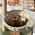Fantasreen Poste d'échafaudage pour chats d'intérieur 30 Grossiste de chat carré inches avec jeu de trackball interactif en bois d'hamac pour chaton et adultes