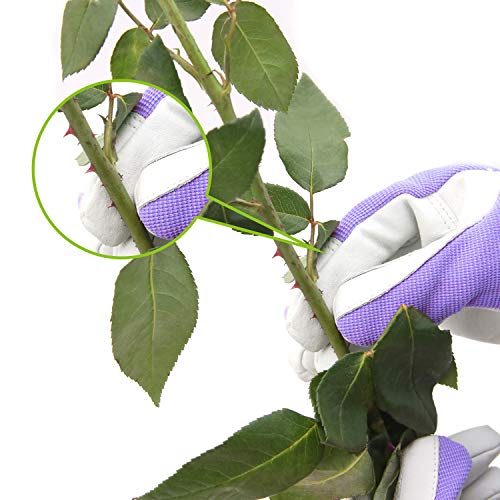 Orido Gardening Gloves For Women - Leather Working Gloves For Womens Work Glove For Yard Gardening Weeding Digging And Pruning(Small,Purple) #TOP3