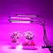 SUPCHON Lámpara de Plantas Crecimiento, Lámpara de Cultivo 80 LED con Control...