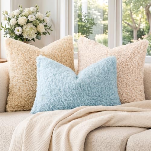 Image of Foindtower Set of 2 Curly Teddy Wool Pillow Covers Decorative Boucle Textured Lumbar Throw Pillow Faux Fur Sherpa Pillowcases Sheepskin Fuzzy Cushion Case for Sofa Bedroom Car 12 inchx20 inch Sky Blue