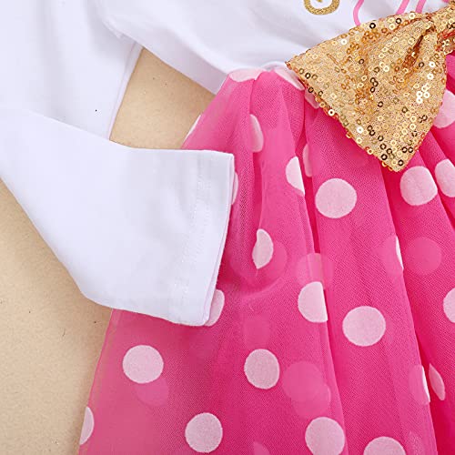 Winter Birthday Outfit Girl My Second Birthday Mini Dress Cake Smash Outfit Baby Tulle Tutu Skirt Autumn Long Sleeve Mouse 2Nd Birthday Themed Party Supplies 2 Years Old Photoshoot Polka Dots Hot Pink #TOP5