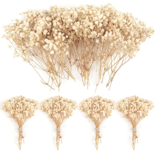 70PCS Mini Dried Baby's Breath Flowers 4000+Pressed Real Natural Gypsophila Bulk Natural Ivory White Dried Flowers for Hair Accessory Wedding Wreath Card Making Table Vase Gift Home Decor