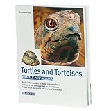 Misc. Barron's Publishing Turtles & Tort Family Book
