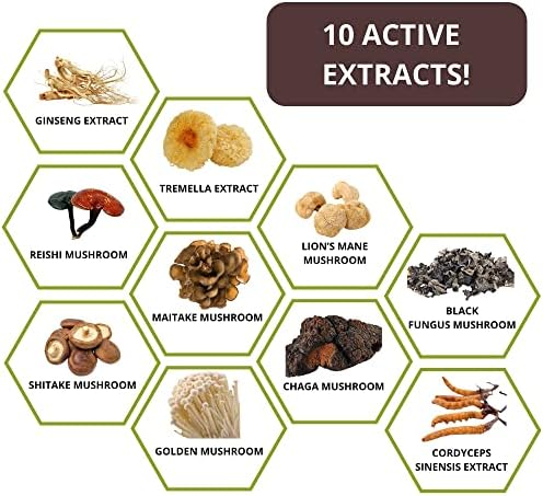 NUTRILIC 10 Mushroom Coffee (40 Servings)- Instant Arabica with Micro Ground Coffee Beans and Chaga, Cordyceps, Lion?s Mane, Reishi, Maitake, Shitake, Black Fungus, Tremella, Ginseng Extract