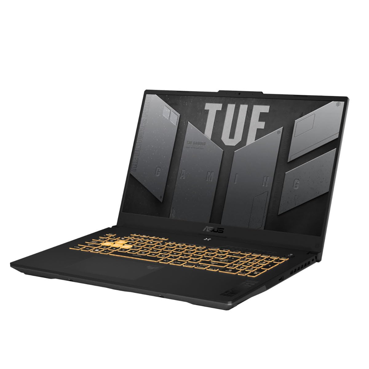 Amazon.com: TUF Gaming F17 FX707 FX707VV-RB74 17.3