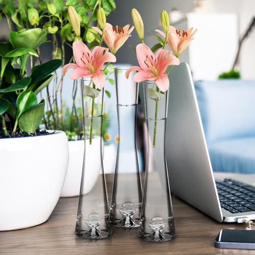 Jarrones de cristal para flores pequeños set de 3 floreros modernos de sobremesa 8