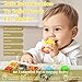WAJIAYON Baby Fruit Feeder/Fresh Food Feeder Pacifier (3 Pack)- Infant Teething Feeders | Silicone Teether for Babies | Baby Solid Food Pacifier Essentials for Babies Toddlers Infants Kids