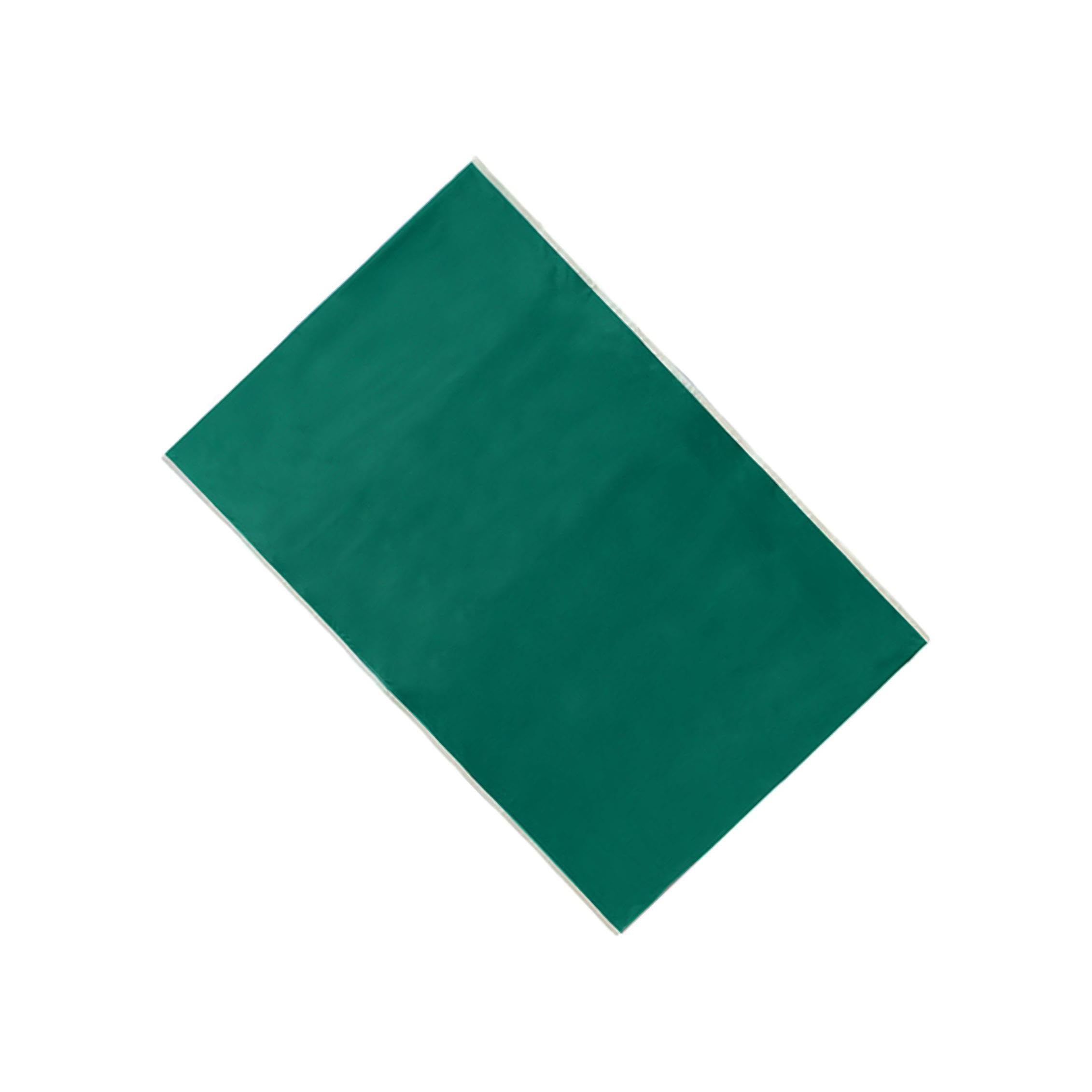 AMSLSIU Suitable For Different Occasion Soft Nylon Slide Sheet Aid | Durable Transfer Pad | Lightweight Mobility Assistance Portable Patients Slide Transfer , Green , 75x115cm