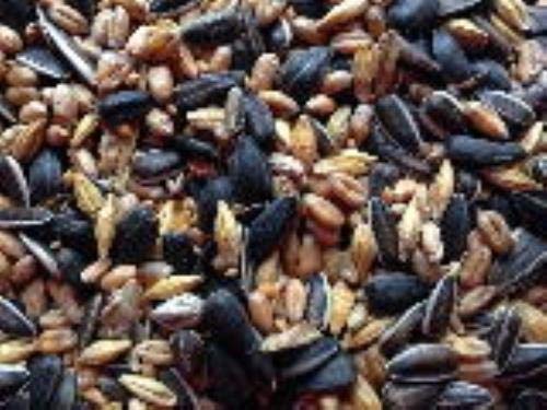 Preisvergleich Produktbild Futterbauer 10 kg Winterstreufutter Qualitätsmischung Streufutter Vogelfutter