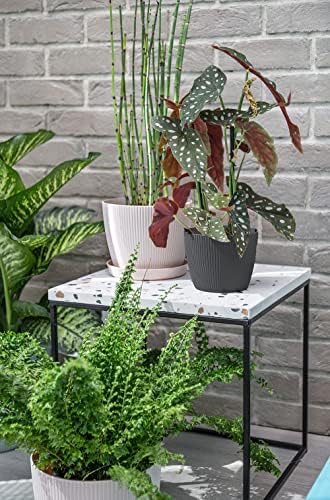 3 of Lamela Flowerpot Herb Plant Flower pot Magnolia Jumper | Ø 15,5 cm | Holder Balcony Garden Container | Organizer box decor | Mix! Match! Play! (Black)