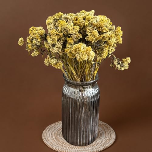 Image of Himalayan Daisy Dried Flowers | Natural Dried Blooms| 70 Grams | Naturally Preserved, Delicate & Everlasting | Perfect for Home Decor, Floral Arrangements, Bouquets & DIY Crafts(Yellow)