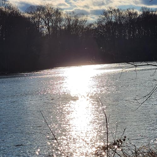 Exhausted And Delirious || More Thoughts On Happiness || Something To Strive For