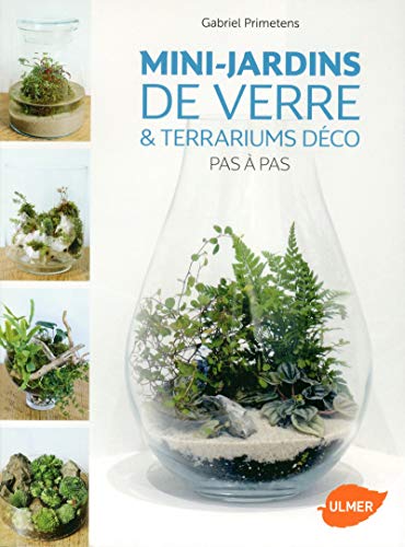 Télécharger Mini-jardins de verre & Terrariums déco Pas à Pas PDF Ebook En Ligne