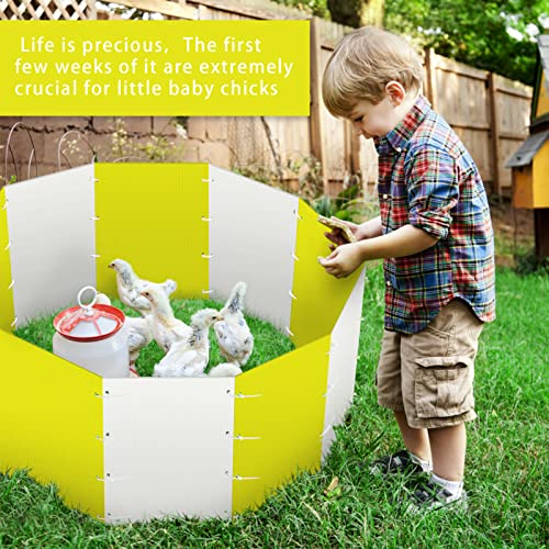 Chicken Brooder Box, Safe Reusable Corral Chick Starter Home, 10 Pcs Hollow Corrugated Boardsbaby Chicken Supplies With Holes Of Home Poultry Essential For Baby Chick, Duck And Quail (Yellow & White) #TOP6