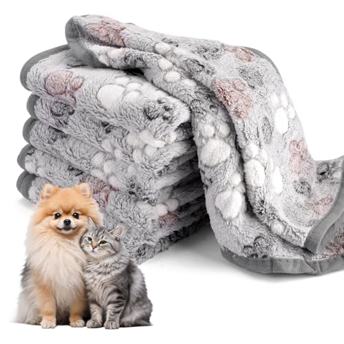 6 Stück Flauschige Hundedecke, Klein Hundedecken 60 x 40 cm Grau Kuscheldecke Hund Wasserdicht Meerschweinchen Fleecedecken Plüsch Katzendecke für...