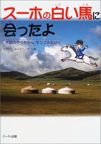 絵本 まとめ売り 13冊 みえるとかみえないとか、スーホの白い馬