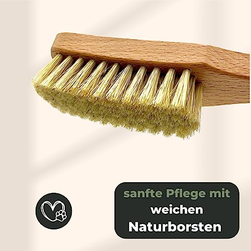 Grünschloss Hundebürste kurzhaar & Katzenbürste weiche Naturborsten - sanfte Tierbürste Holz mit Massage Effekt & Pfotenreiniger Hunde klein + Katzenbürste Pfote (Made in Germany) Bürste Katze Holz